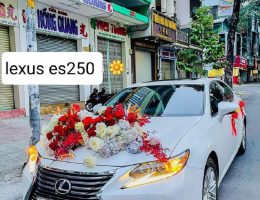 Xe hoa lexus Es 250 cao cấp
