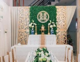 Gia tiên thảm xanh vách alu